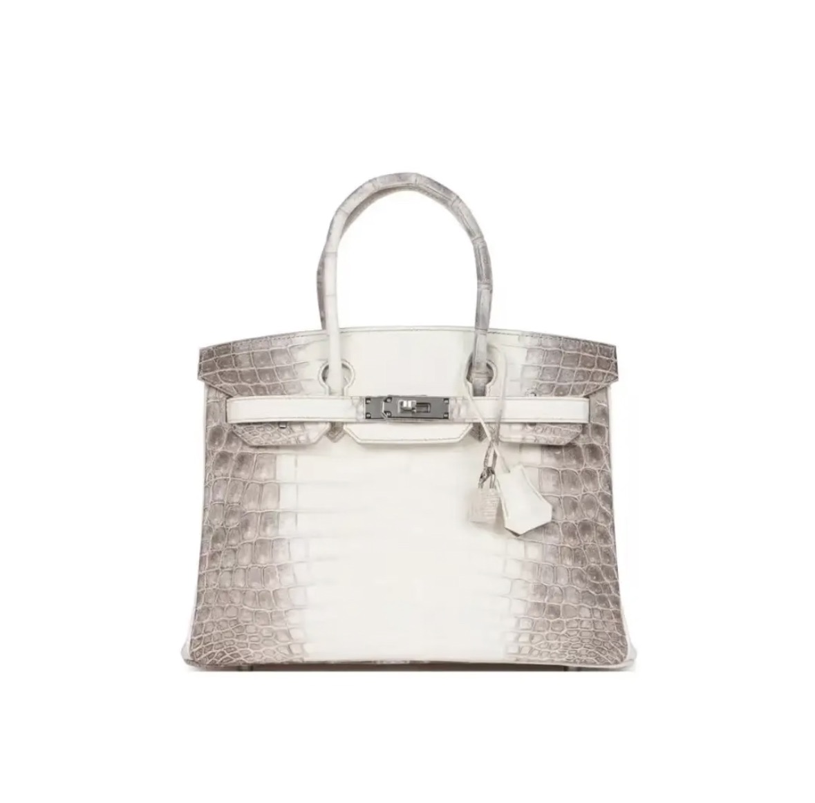 Hermès Birkin Himalaya